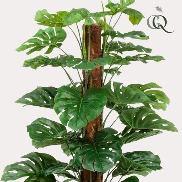 Monstera Deliciosa - kunstplant - ↕180cm - Ø17cm