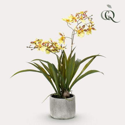Artificial Orchid Plant - Yellow - ↕45cm - Ø16cm