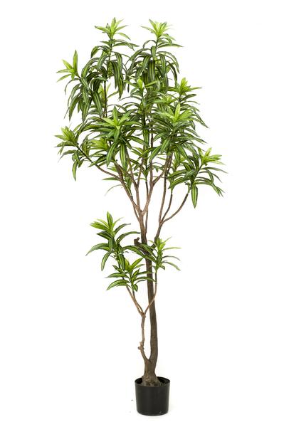 Kunstplant - Dracaena - Drakenboom - ↕190cm - Ø17cm