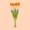 Kunst Tulpen