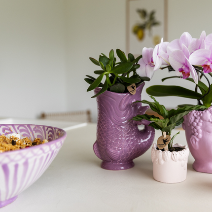 Kolibri Home | Ryba - Liliowy - Ø9 cm