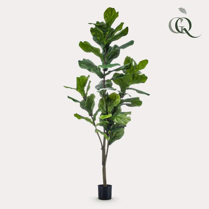 Kunstplant Ficus Lyrata - Tabaksplant - ↕150cm