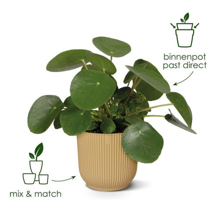 Maceta plegable redonda Elho Vibes blanca - D22 x H20