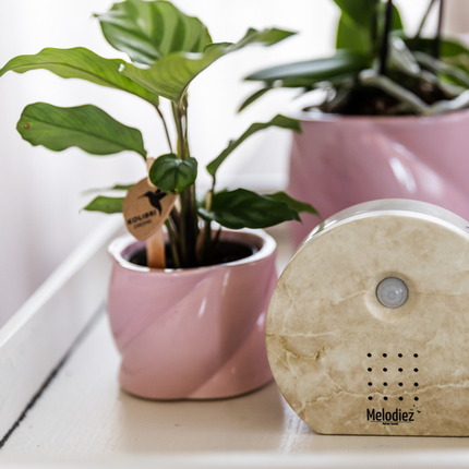 pozytywka Melodiez - kamień naturalny