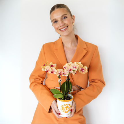 Pot Kolibri Home I Malaga - Orange - Ø9cm