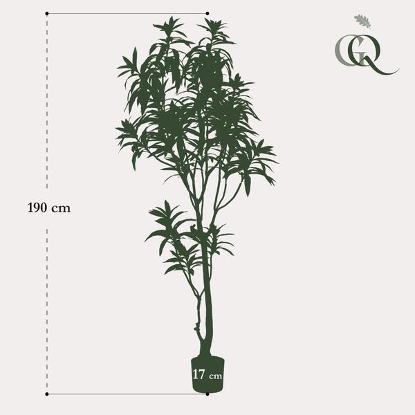Kunstplant - Dracaena - Drakenboom - ↕190cm - Ø17cm