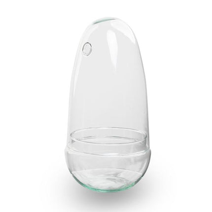 Gesloten terrarium - Bolglas - Stolp - Egg - Ei-vorm - ↕26cm