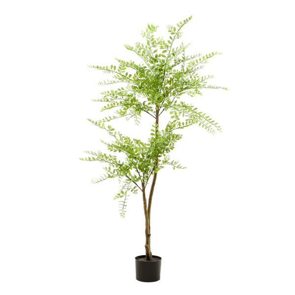 Kunstplant - Sophora tree  - Honingboom - 140cm