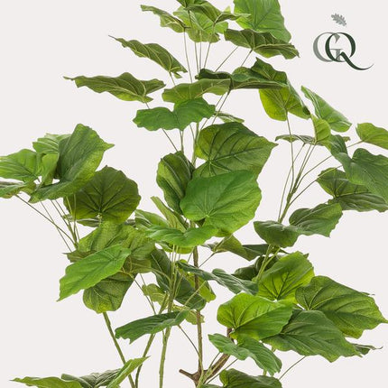 Artificial plant Ficus umbellate - African fig - ↕125cm