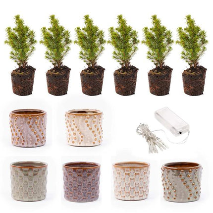 Ensemble de 6 mini sapins de Noël - Comprend un ensemble de pots Madrid + 20 guirlandes lumineuses LED