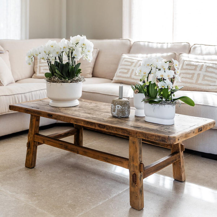 Kolibri Home | Diabolo white dish