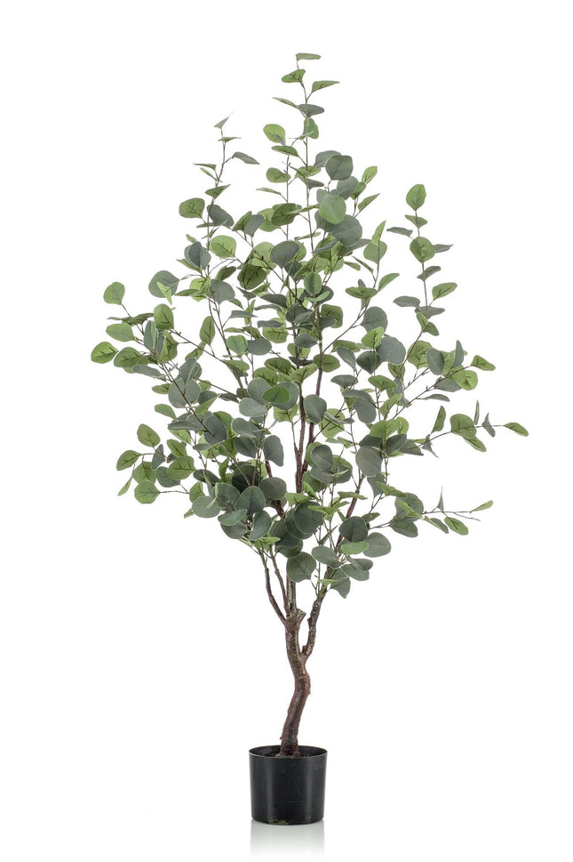 Kunstplant Eucalyptus - Blauwe Gomboom - ↕120cm - Ø14cm