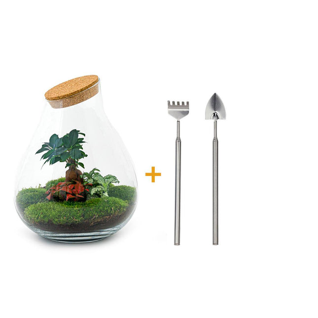 Terrario fai da te - Bonsai Drop XL - ↕37cm - Rastrello + Pala