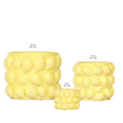 Kolibri Home | Combo deal - Citrus flower pot - yellow cement decorative pot