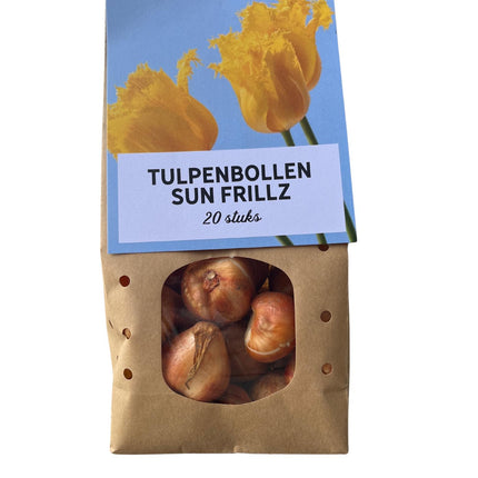 Sun Frillz - Cebulki tulipanów - 20x - Cebulki kwiatowe