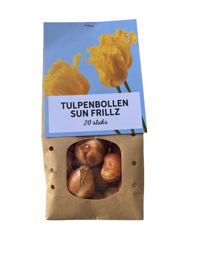 Sun Frillz - Bulbi di tulipano - 20 pezzi - Bulbi di fiori