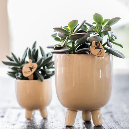 Kolibri Home | Combi deal - Gummy travertine pots