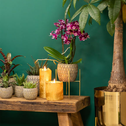 Kolibri Home | Plant Stand - Gold Metal Plant Riser - Ø12cm