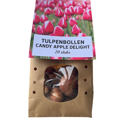 Candy Apple Delight - Tulipanløg - 20 stk. - Blomsterløg