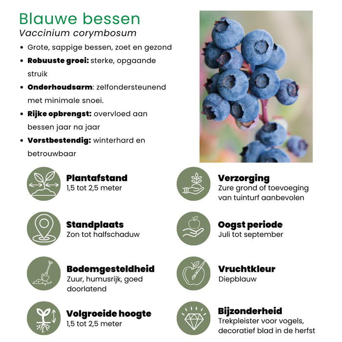 Fruitplanten mix Biologisch - set van 3 verschillende soorten "Vruchten feestje"