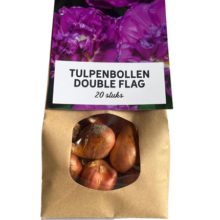 Podwójna flaga - Cebulki tulipanów - 20 sztuk - Cebulki kwiatowe