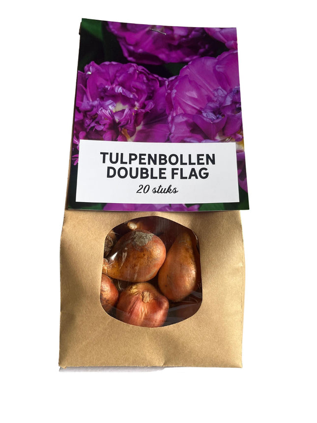 Doppia bandiera - Bulbi di tulipano - 20 pezzi - Bulbi di fiori