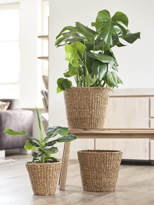 Plantenmand -  Lichtbruin - Jip naturel - L - W30xH25