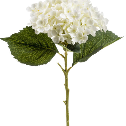 Fiori artificiali Solo - Bianchi - Fiore di ortensia - 8x - ↕52cm
