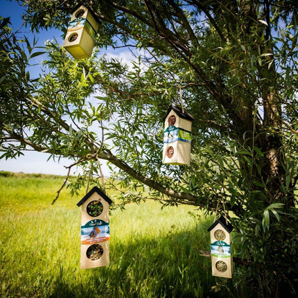 Buffet pour oiseaux | Mélange Bird Chalet, lot de 4 sachets de 200 g