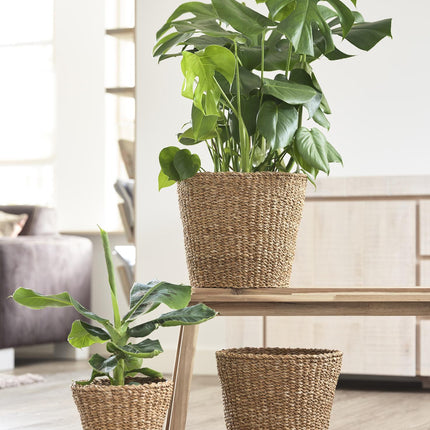 Panier à plantes - Brun clair - Jip naturel - M - L26 x H23