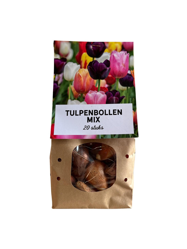 Mix di tulipani - Bulbi di tulipano - 20 pezzi - Bulbi di fiori
