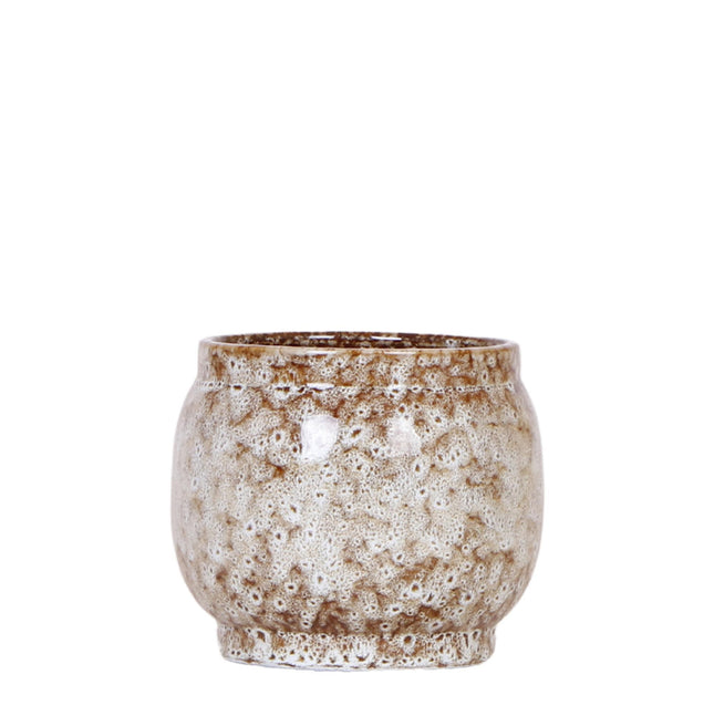 Hogar para Kolibries | Maceta Safari - Ø12cm