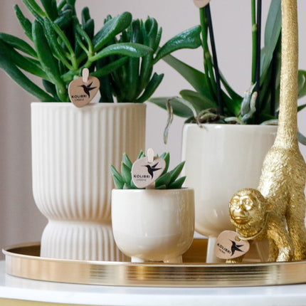 Kolibri Home | Combi deal - Gummy travertine pots