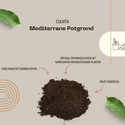 Culvita - Mediterrane Blumenerde 40 Liter inklusive RhizoPlus - Blumenerde für mediterrane Pflanzen, geeignet für Olivenbäume, Zitrusfrüchte und Palmen