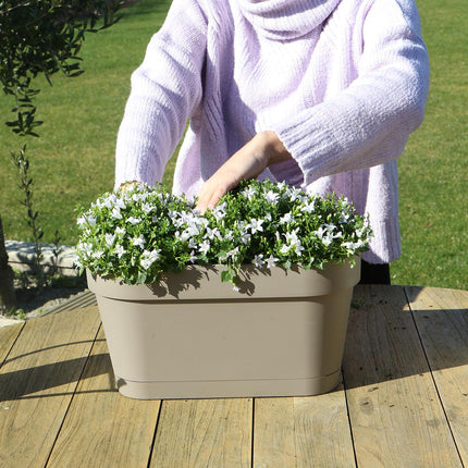 Campanula Addenda Ambella Viola Intenso - Fioriera da balcone bianca con 3 campanule Ø12cm - con sistema di sospensione - Campanula viola - perenni