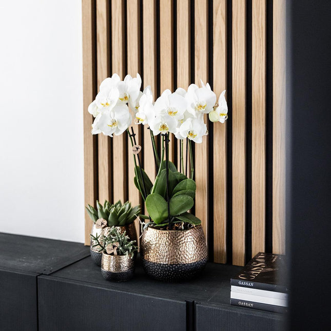 Kolibri Home | Olla de cobre Elite - Ø12cm