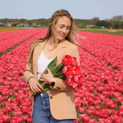 Kwiaty cebulowe Amsterdam - Van Eijk - 15 cebul kwiatowych - Rozmiar 12+