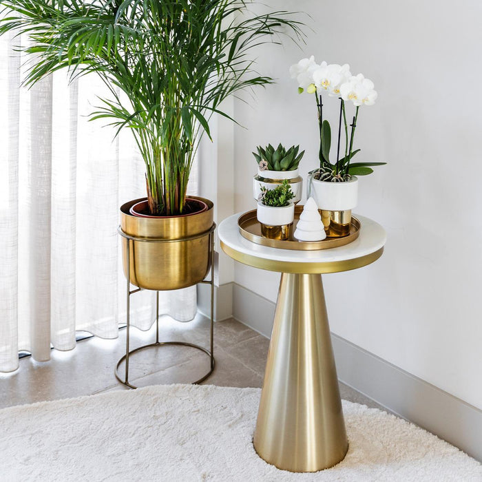 Gift set Christmas gold | Plantenset met witte Phalaenopsis Orchidee en Succulenten incl. keramieken sierpotten