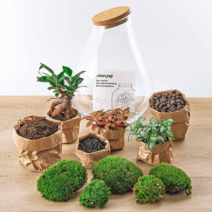 DIY terrarium - Drop XL Bonsai - ↕37cm - Rake + Shovel + Tweezer