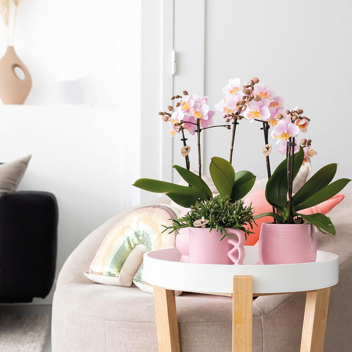 Kolibri Home | Happy Mug roze bloempot - roze keramieken sierpot - Ø6cm