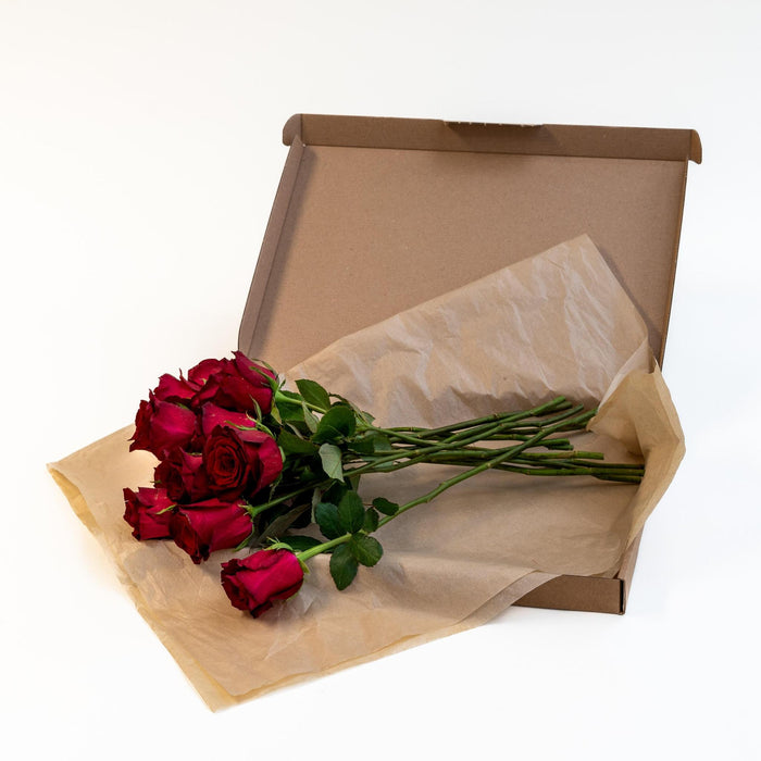 Letterbox Roses Bordeaux - ↕35cm