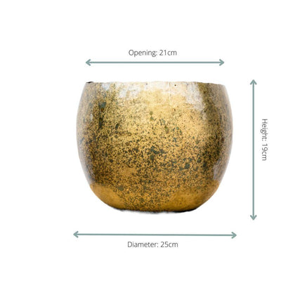 Ellen Brass - 25x19 - Plant pot