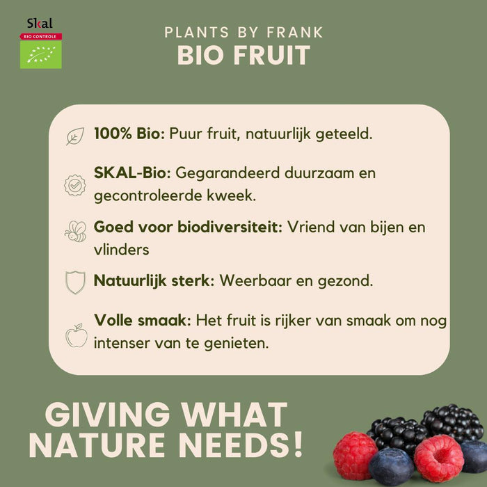 Fruitplanten mix Biologisch - set van 3 verschillende soorten "Vruchten feestje"