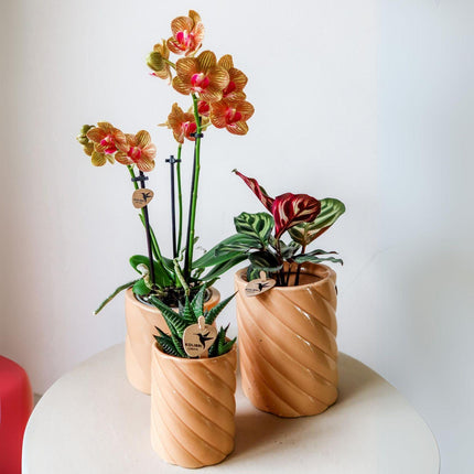 Kolibri Home | Candy decorative pot | High - Peach - Ø6cm