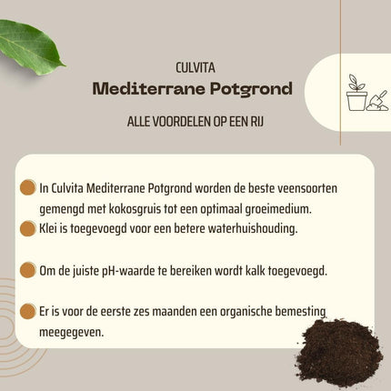 Culvita - Mediterrane Blumenerde 40 Liter inklusive RhizoPlus - Blumenerde für mediterrane Pflanzen, geeignet für Olivenbäume, Zitrusfrüchte und Palmen