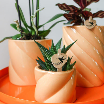 Kolibri Home | Candy decorative pot - Peach - Ø6cm