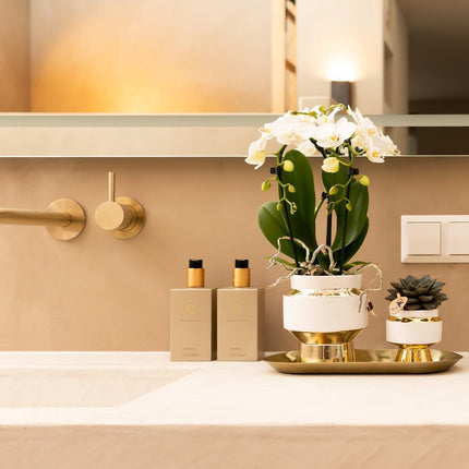 Kolibri Home | Le Chic flower pot - White ceramic decorative pot with gold details - Ø9cm