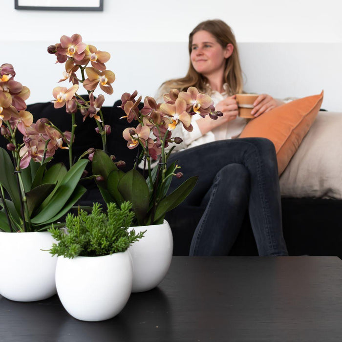Kolibri Home | Bowl bloempot - Witte keramieken sierpot - Ø9cm