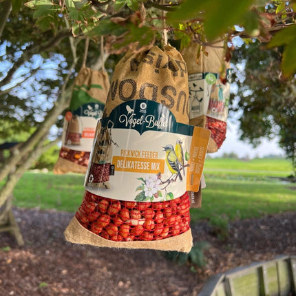 Buffet d'oiseaux | Mélange pour pique-nique d'oiseaux, lot de 4 | 4 sachets de 300 g