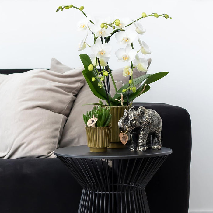 Kolibri Home | Retro groene bloempot - groene keramieken sierpot - Ø6cm